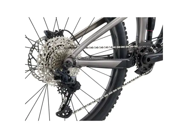 Giant Reign 2 Mountainbike schwarz/metallisch