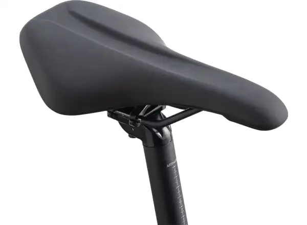 Giant Roam 2 Disc Schwarz Trekkingrad