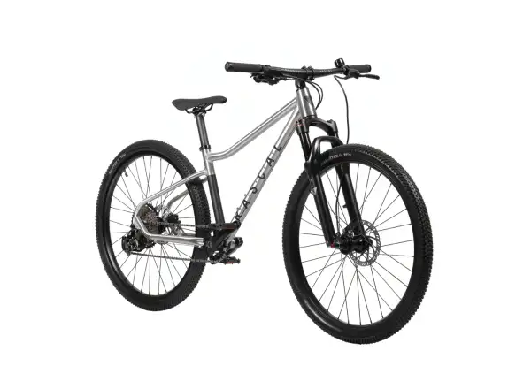 Rascal Wild 27 Limited Kinderfahrrad Silver