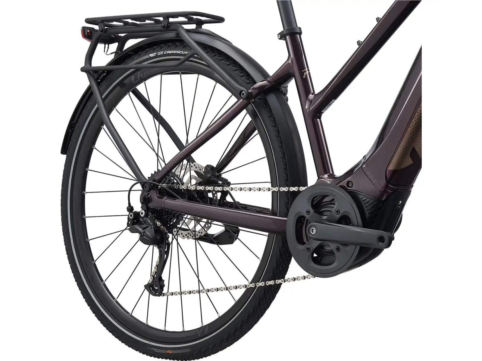 Liv Amiti E+2 Trekking E-Bike in Rosewood Color