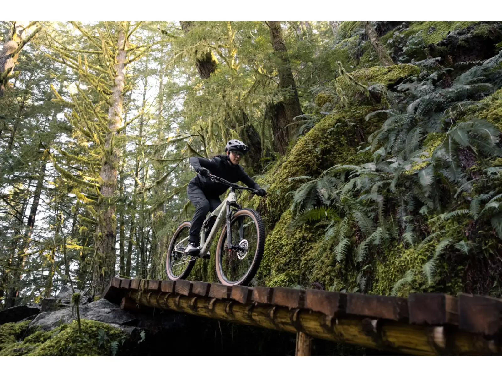 Liv Embolden 2026 Mountainbike Pale Moss
