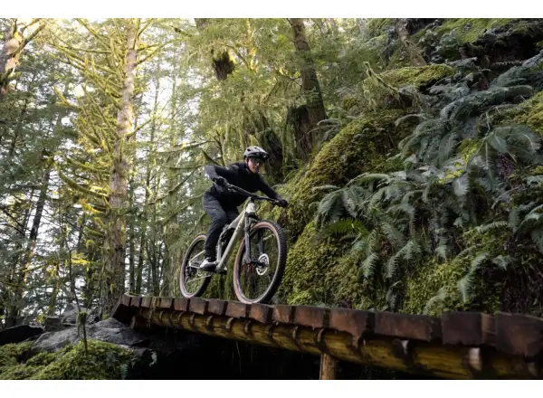 Liv Embolden 2026 Mountainbike Pale Moss