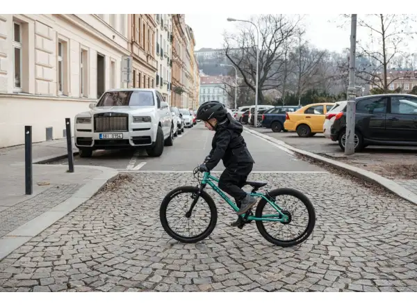 Rascal 20 Limited Kinderfahrrad Emerald