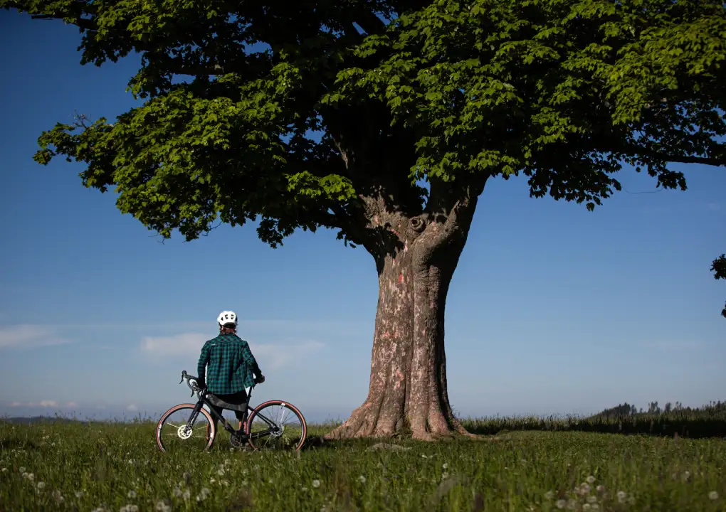 Rock Machine Lukk 50: Ein Gravel-Bike, das alles schafft