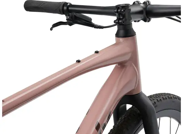 Liv Thrive GX Fitnessrad von Petra Clay.