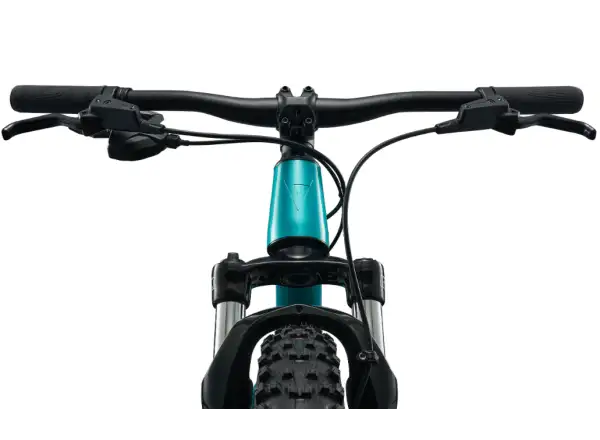 Giant STP 20 FS Kinder-Mountainbike Teal