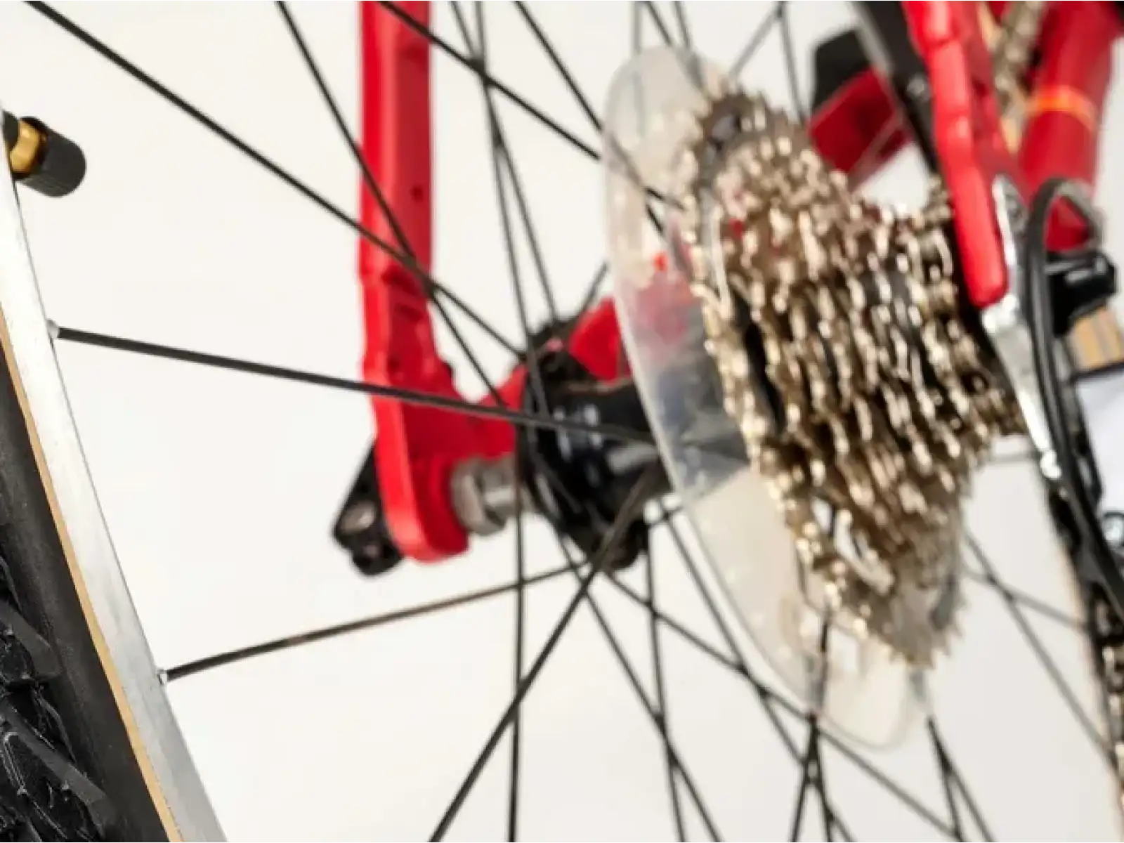 Academy Grade 6 Kinderfahrrad 26" Rot