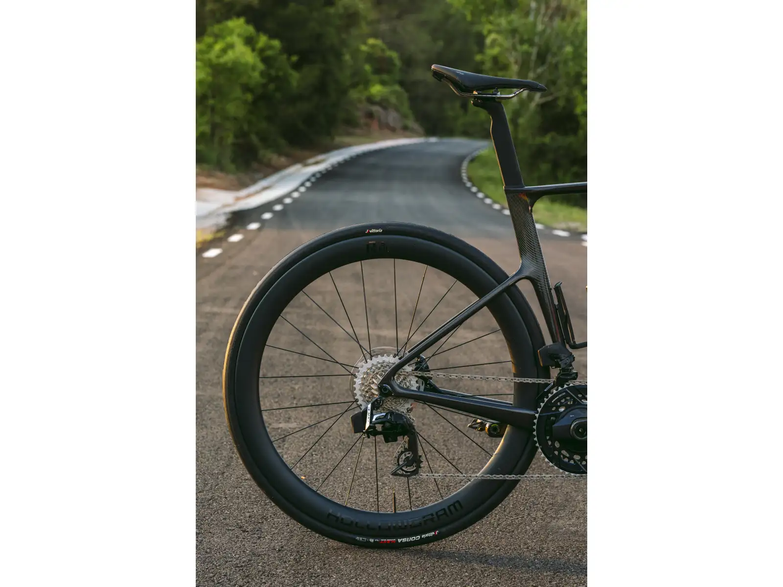 Cannondale Super Six Evo Carbon 1 Rennrad RAW