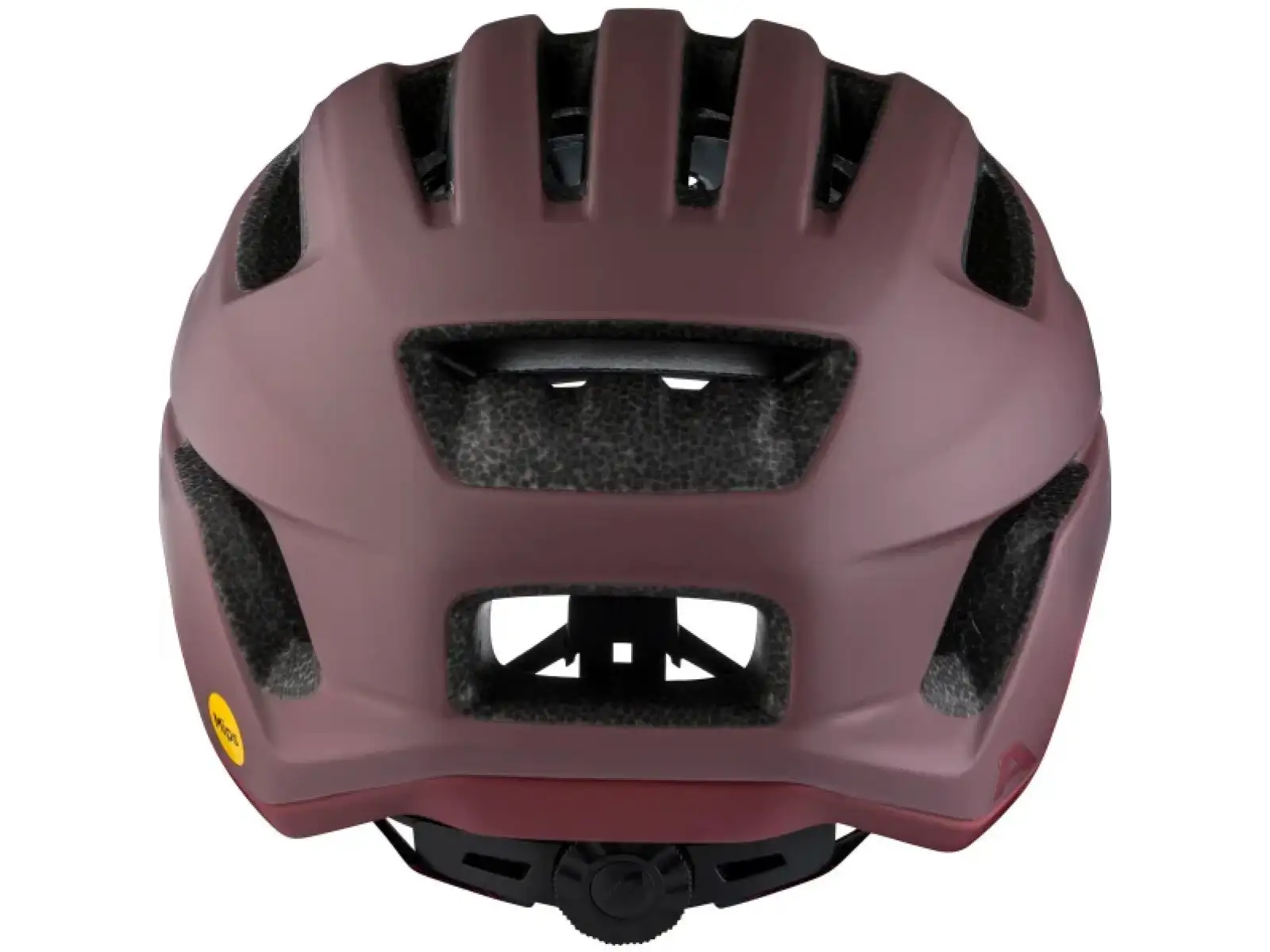 Alpina Paranus Mips Helm Raisin Matt