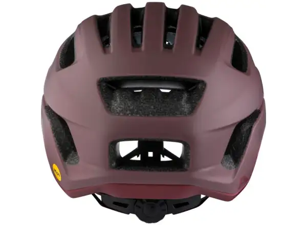 Alpina Paranus Mips Helm Raisin Matt