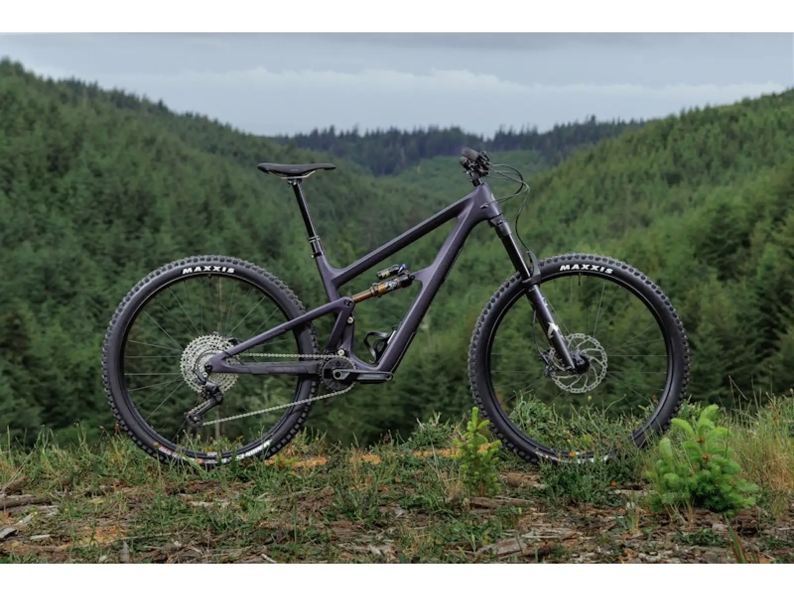 Ibis Ripmo V3 GX Eagle AXS Mountainbike Heckleberry Purple