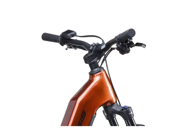 Crussis e-Country AX MTB 8.12-M2(800) Mountain-E-Bike