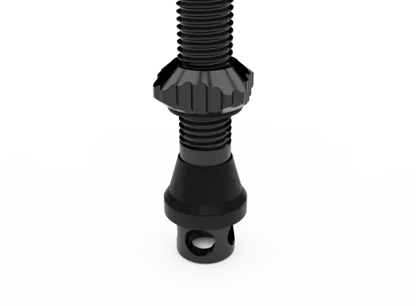 WTB TCS AL Max-Flow Presta Valve Tubeless Ventile 65mm schwarz 2 Stk