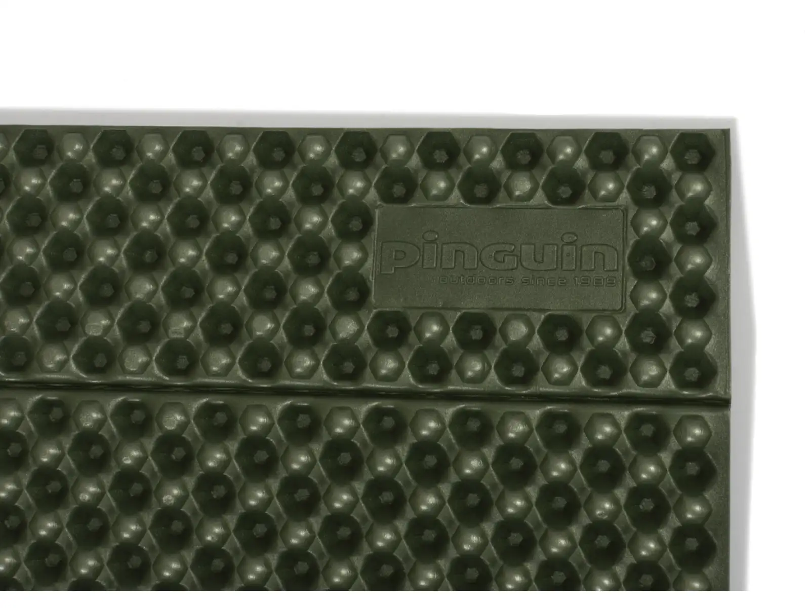 Pinguin Fold L faltbare Isomatte Green