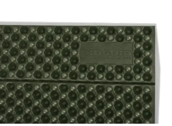 Pinguin Fold L faltbare Isomatte Green
