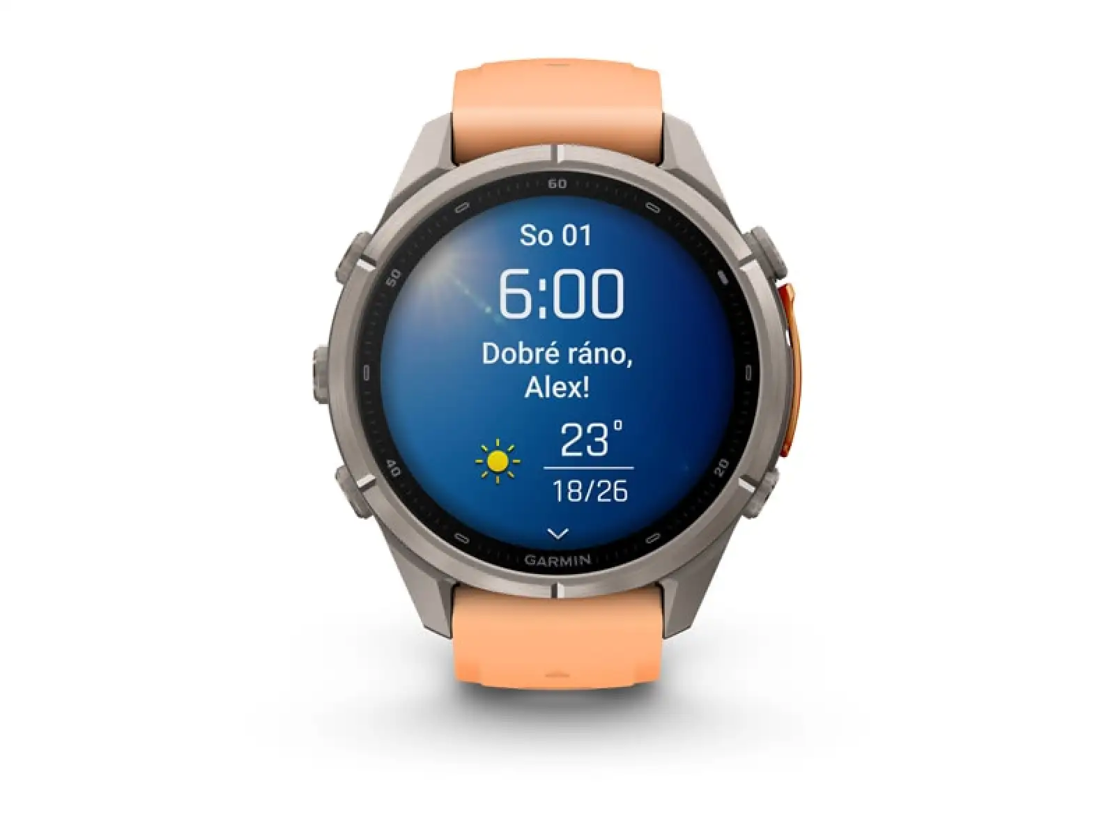 Garmin Fénix 9 Pro inReach 43 mm Smartwatch Carbon gray DLC Titanium Black/Pebble gray