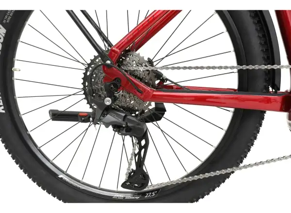 Apache Rio Grande Bosch CX 800 Wh Trekking-E-Bike
