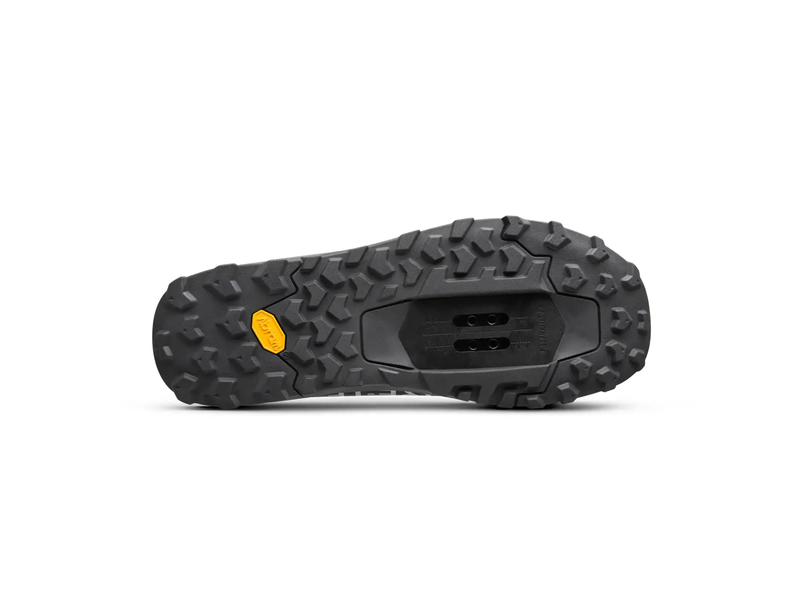Fizik Ergolace GTX 2 MTB Schuhe Black/Black