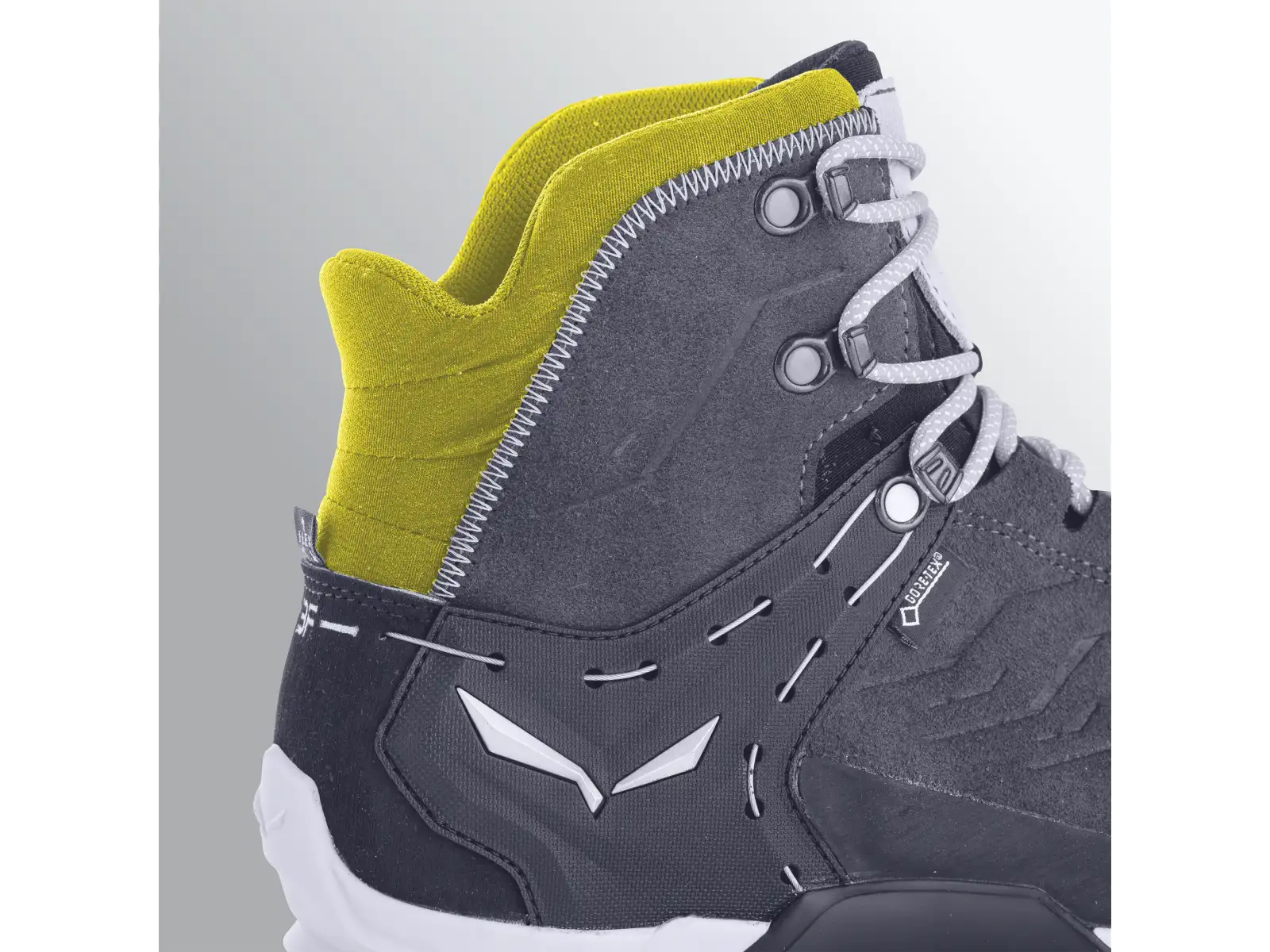 Salewa Alp Trainer 2 GTX Herrenschuhe Bungee Cord/Black
