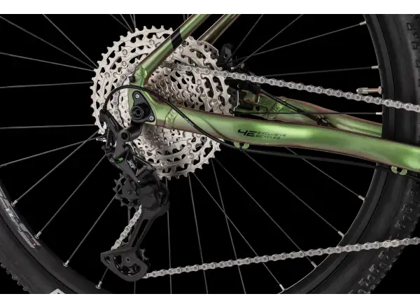 4EVER PRODIGY BOOST Mountainbike dragon green