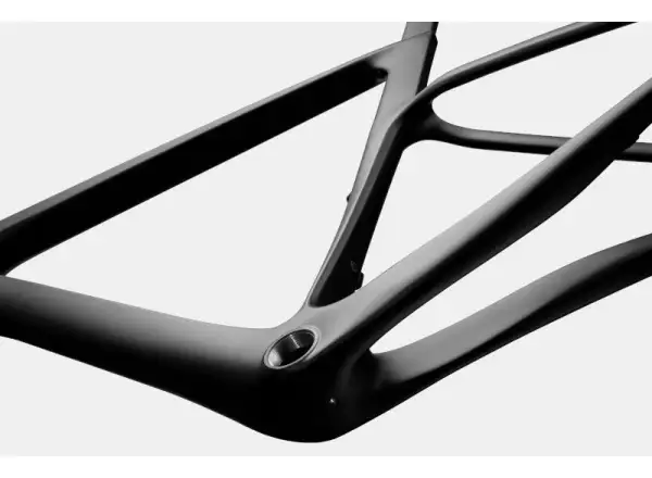 Cannondale SuperSix EVO Carbon 2 Compact Rennrad RAW