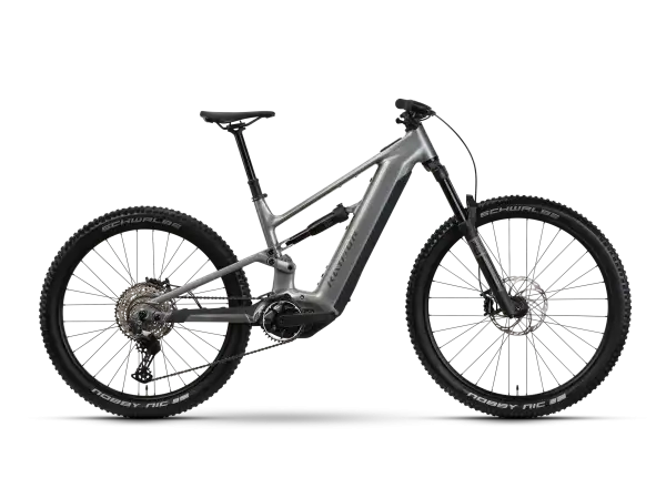Raymon Ravor Comp darksilver marble vollgefedertes E-Bike