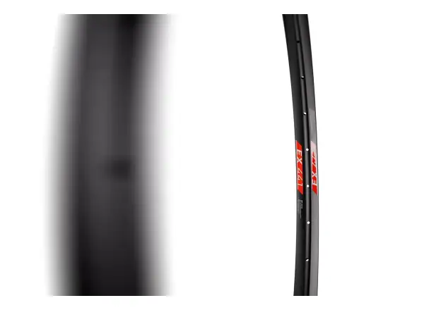 DT Swiss EX 441 29" MTB Felge schwarz
