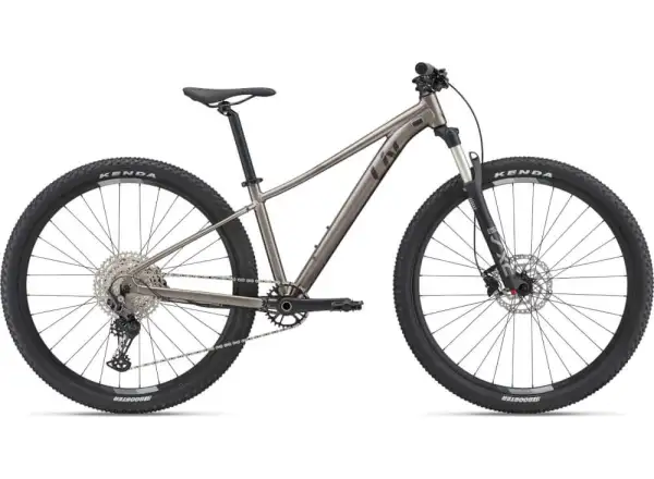 Liv Tempt 29 0 Metal 2022 Mountainbike