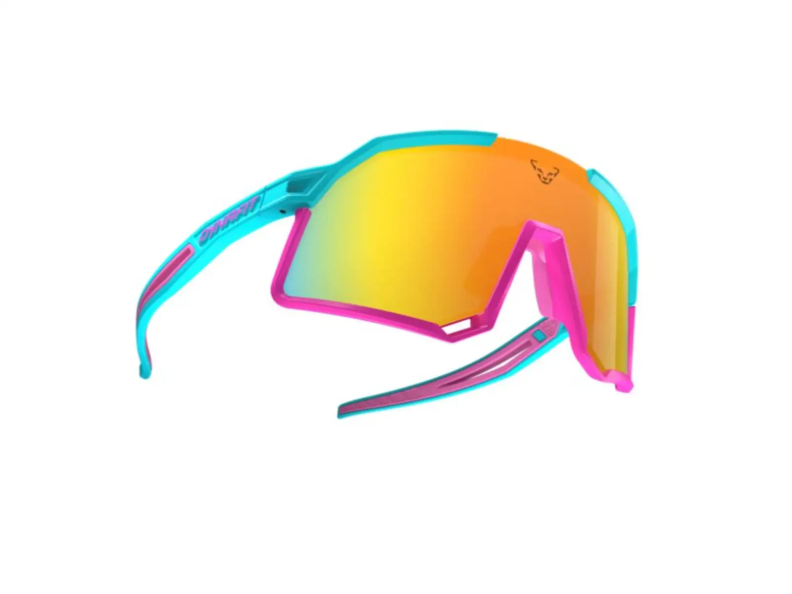 Dynafit Trail Evo Brille Silvretta/Pink
