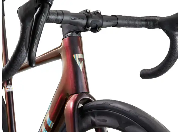 Giant TCR Advanced SL 0 Dura Ace Rennrad Black Lava