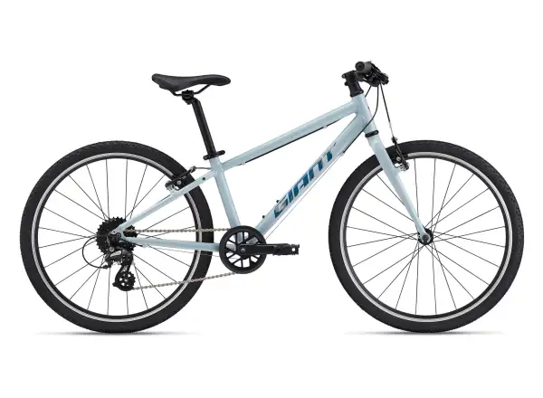 Giant ARX 24 Kinderfahrrad Soap Suds