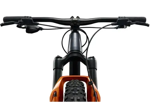 Giant STP 24 Kinder-Mountainbike Black Chrome