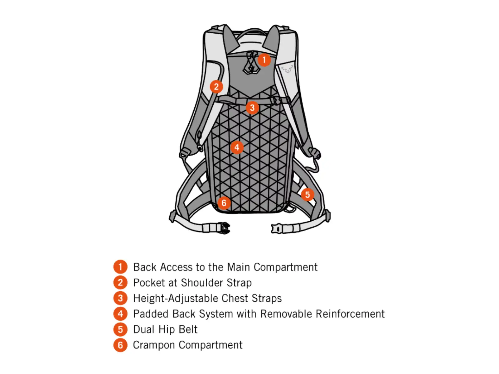 Dynafit Free Rucksack 34 l Schwarz
