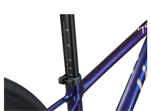 Liv Seek 2 Kinder-Rennrad Purple Haze