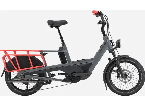 Cannondale Cargowagen NEO 2 Stadt-E-Bike GRY