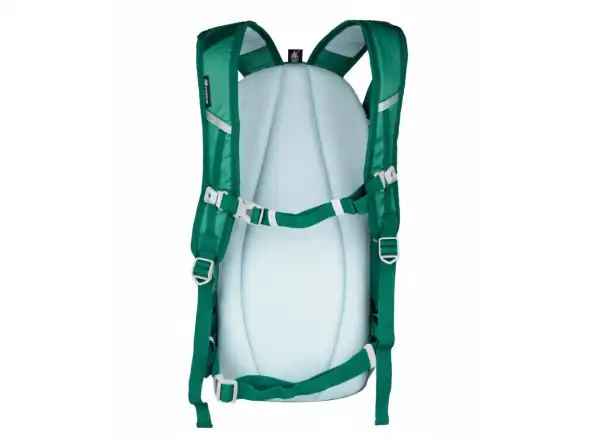 Force Eclipse Rucksack 12 l grün