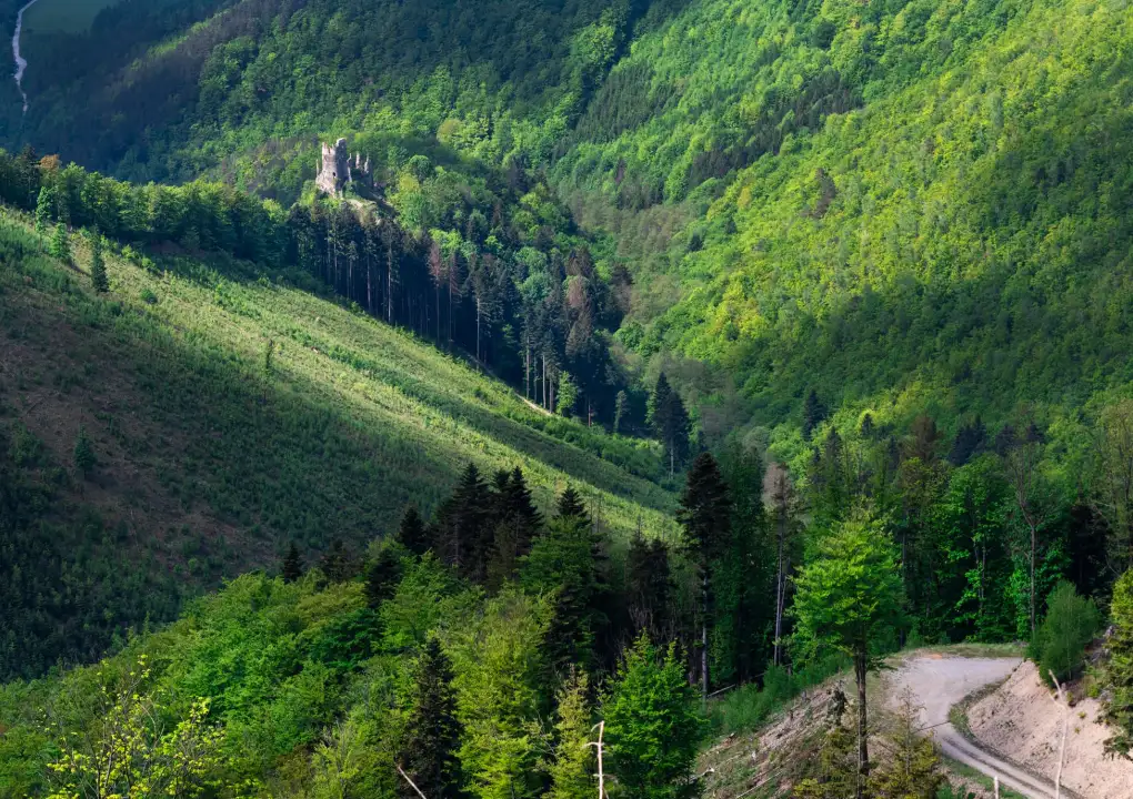 Malá Fatra - ein Ausflugstipp zur Hütte pod Suchým