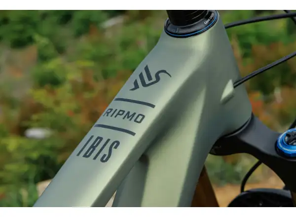Ibis Ripmo V3 Eagle 90 Mountainbike Olive Swamp Monster