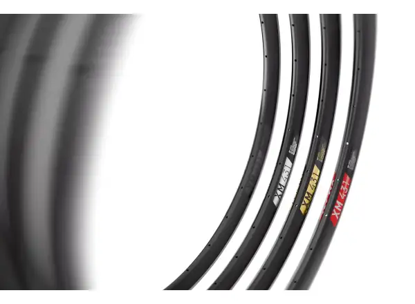 DT Swiss XM 431 29" MTB Felge schwarz