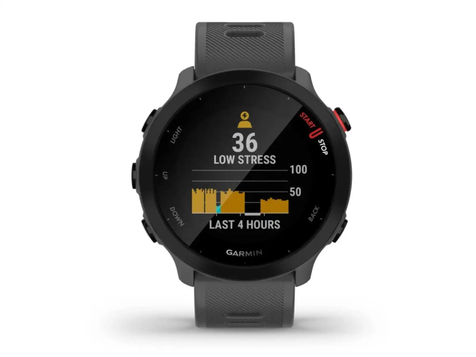 Garmin Forerunner 55 Smartwatch Grau