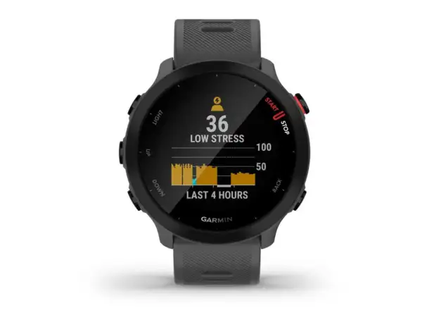 Garmin Forerunner 55 Smartwatch Grau
