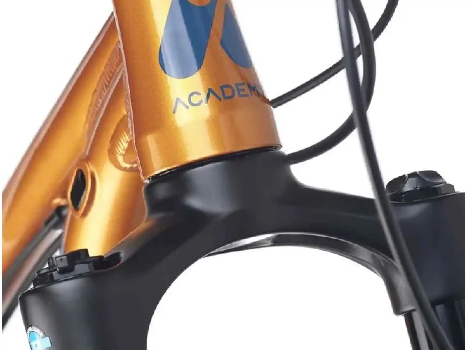 Academy S-Grade Trail 5 Kinderfahrrad 24" orange