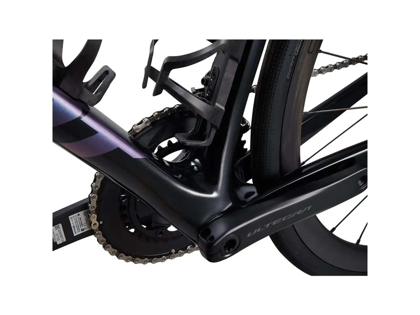 Giant Defy Advanced Pro 0 Rennrad Carbon/Blau Libellenfalke
