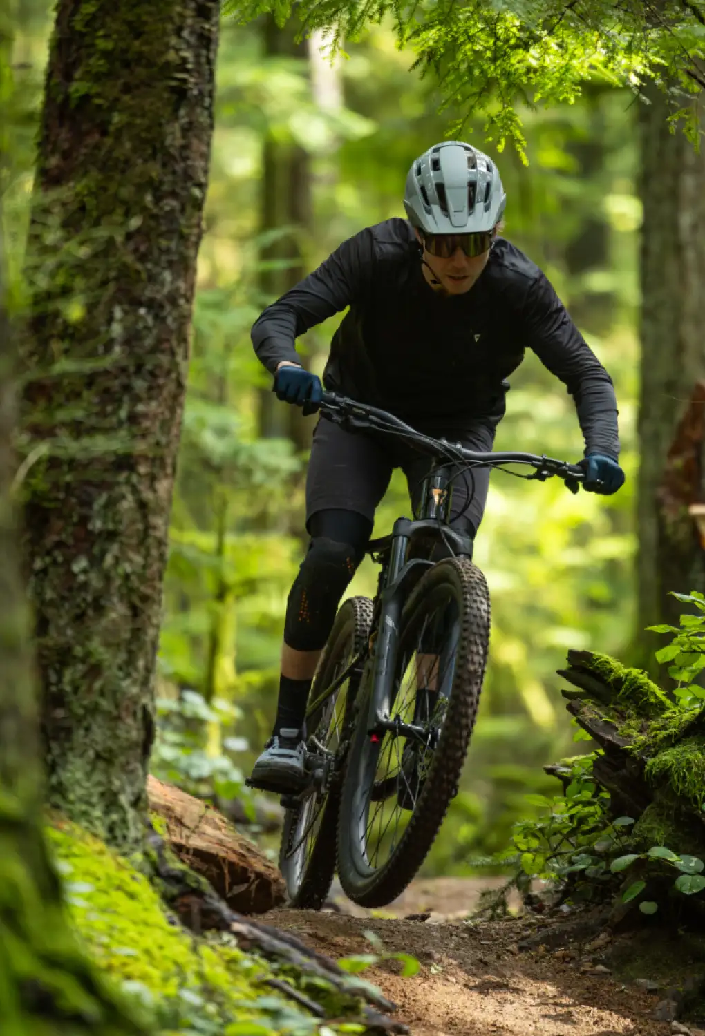 Neues Giant Stance und Liv Embolden 2026: Trailbikes, die schon lange nicht mehr nur für Anfänger sind