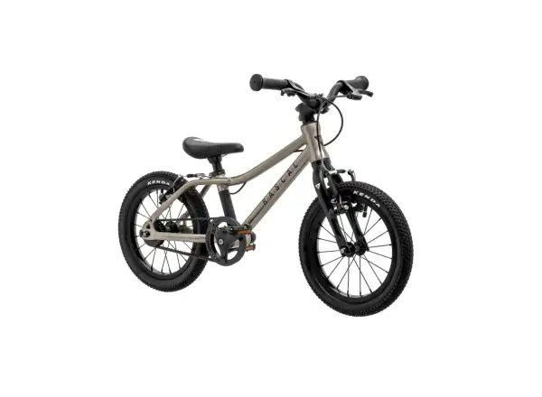 Rascal 14 Kinderfahrrad Titanium