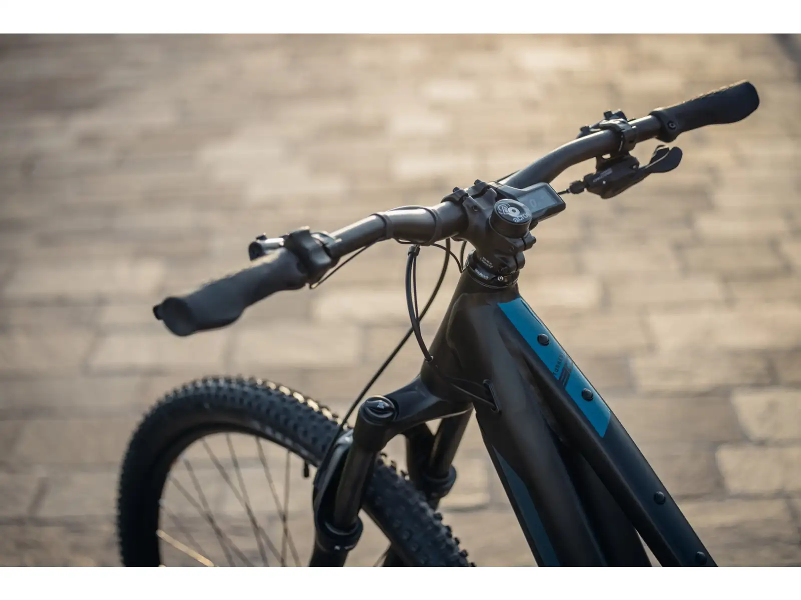 Rock Machine Torrent E90-29 Easy Entry Mountain-E-Bike Petrol MUSTER