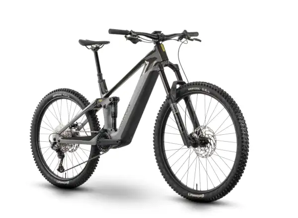 Raymon Tarok E-Bike Grey Sparkle/Carbon/Citron