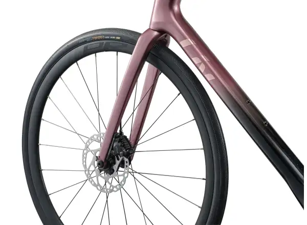 Liv Avail Advanced 1 Rennrad Iron Rouge/Carbon