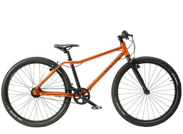 Rascal 26 5 sp. Sturmey Archer Kinderfahrrad Flame