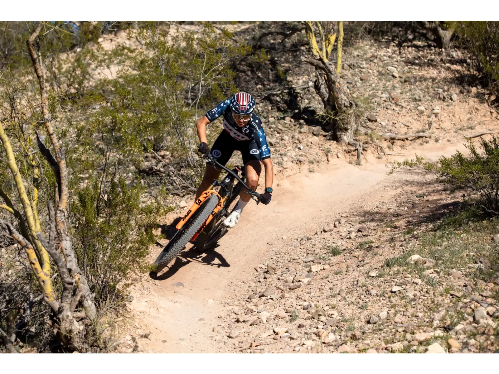 Kenda K-Series Dagger XC, TR 29x2,40" MTB Reifen Kevlar braun